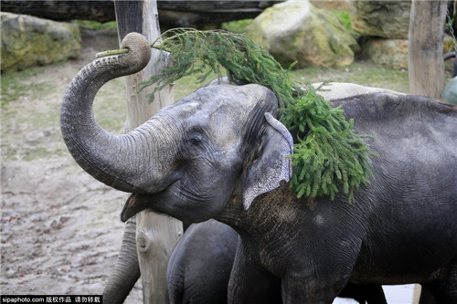 320名圣诞老人整体冲浪？？？八一八圣诞节奇闻趣事