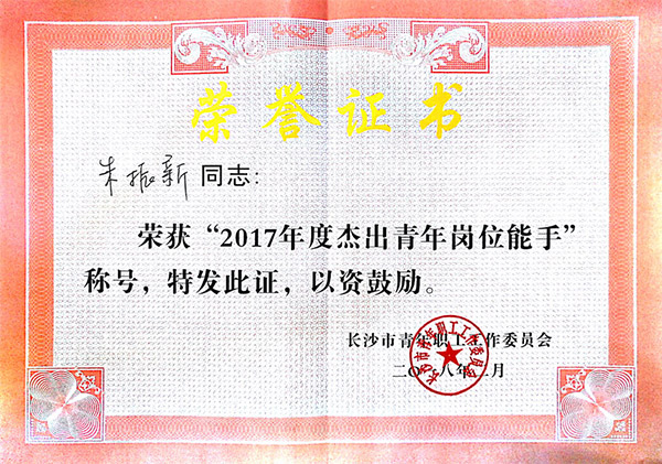 优德88智能朱振新荣获长沙市2017年度优异青年岗位能手
