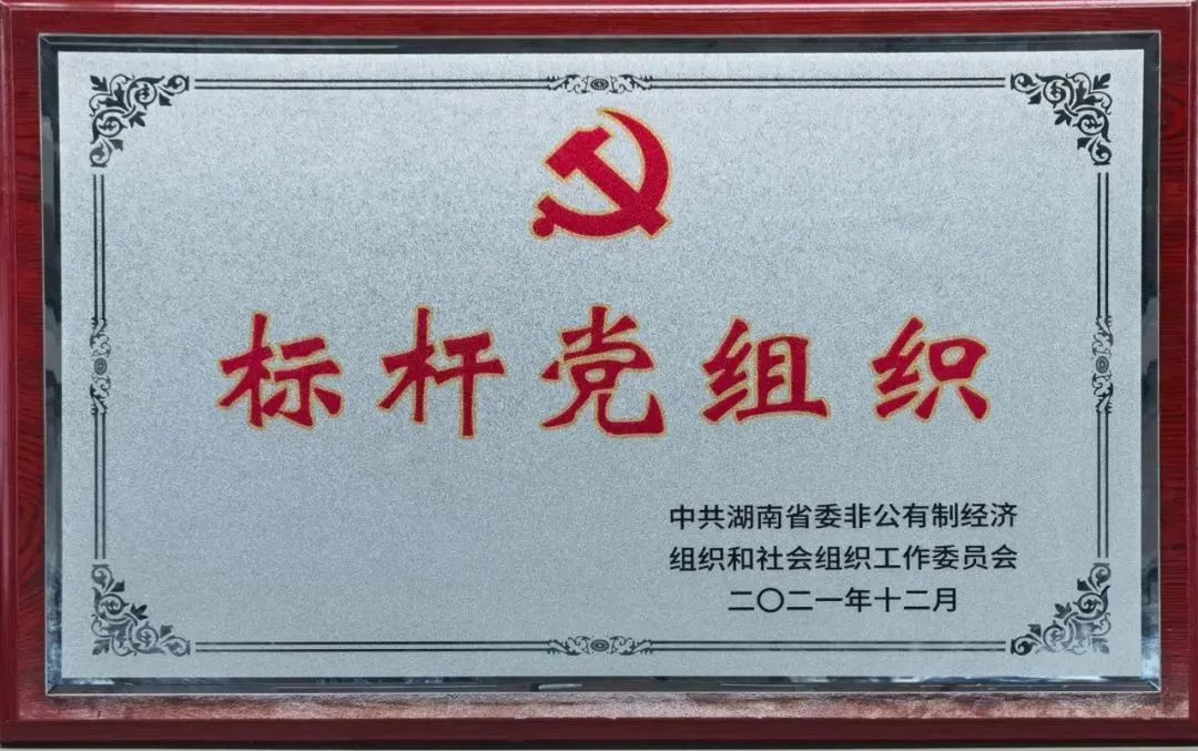 党建品牌亮起来！优德88智能党委获评“标杆党组织”